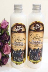 CAVIAR SHAMPOO - SHAMPO KUDA